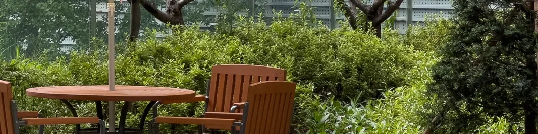 celib, 셀립 가디, celib gadi